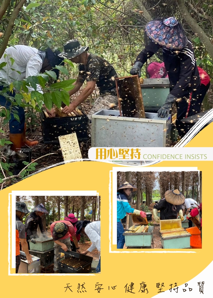 _工作區域 1-700 _工作區域 1-700