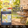 2026國產認證極品森林蜜(百花蜜)-03